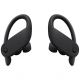 Beats Powerbeats Pro Totally Wireless Earphones (Black)